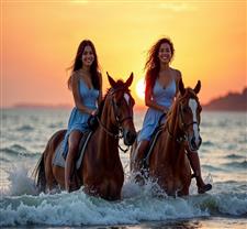 Popular Tours
