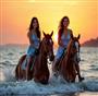 popular Tours