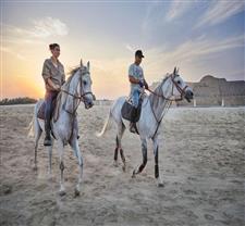 Popular Tours