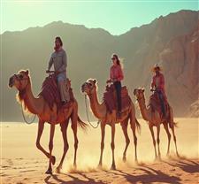 Popular Tours