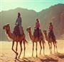 popular Tours