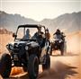popular Tours