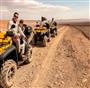 popular Tours