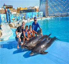 Popular Tours